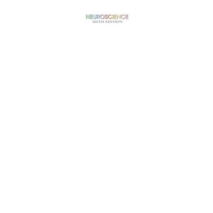 Neuroscience (6th Edition)