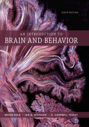 An Introduction to Brain and Behavior (6th Edition)
