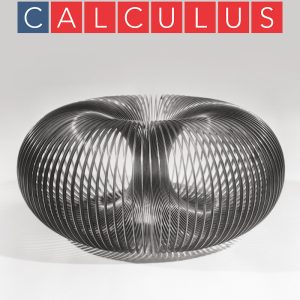 Calculus; Late Transcendentals Single Variable (4th Edition)