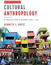 Essentials of Cultural Anthropology: A Toolkit for a Global Age (Third Edition)