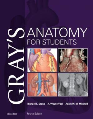 Gray's Anatomy for Students (4th Edition)