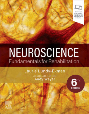 Neuroscience; Fundamentals for Rehabilitation (6th Edition)